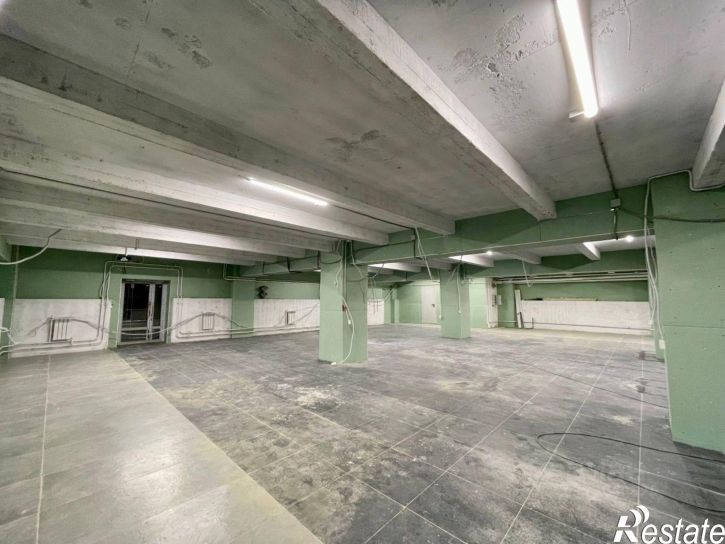 Отдельное здание ул Смольный Буян, 21,  д. 21