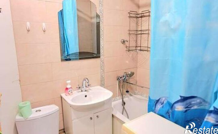 1-комн квартира ул Мещерского, 19,  д. 19