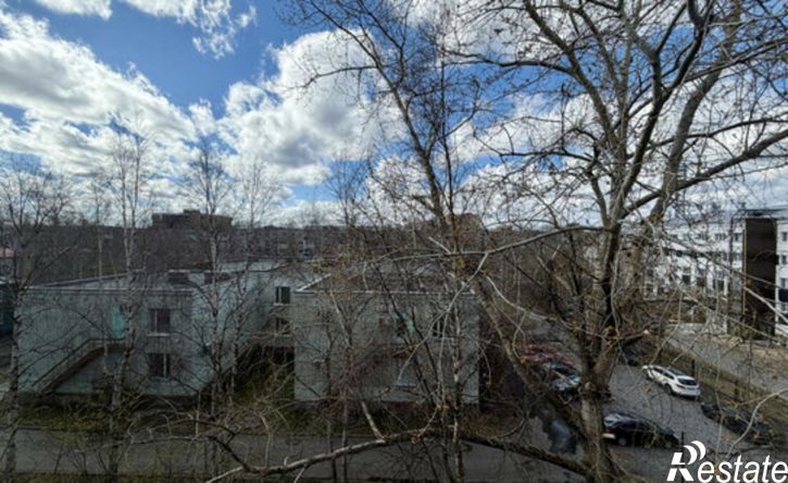 1-комн квартира ул Федота Шубина, 34,  д. 34