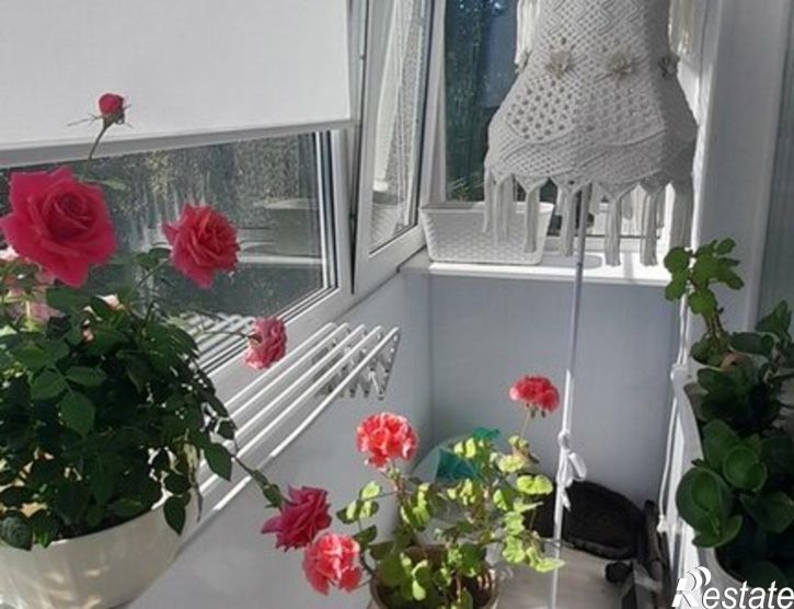4-комн квартира Ленинградский пр-кт, 115,  д. 115