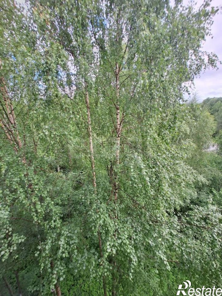 1-комн квартира Лахтинское шоссе, 18,  д. 18