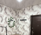 комната 22 кв м Партизанская улица, 64 к2