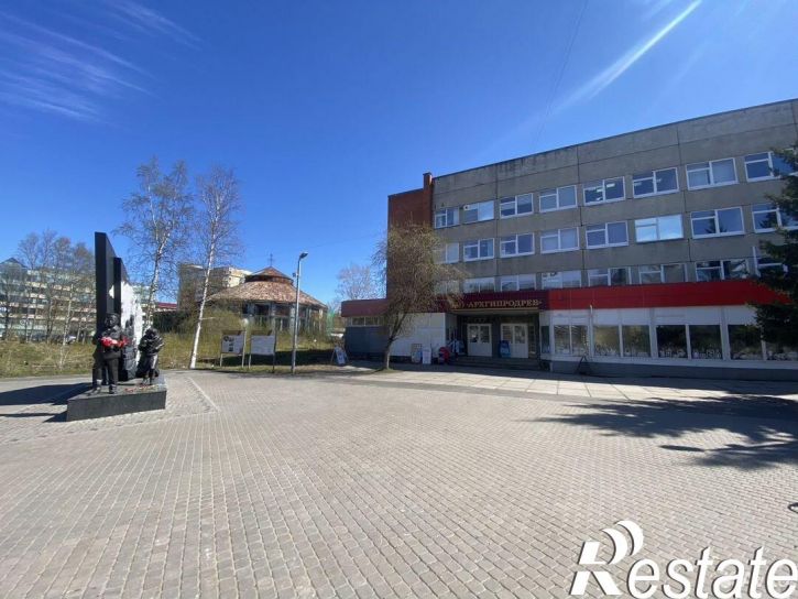 Офис Троицкий проспект, 106,  д. 106