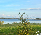 земля 14 сот Архангельск